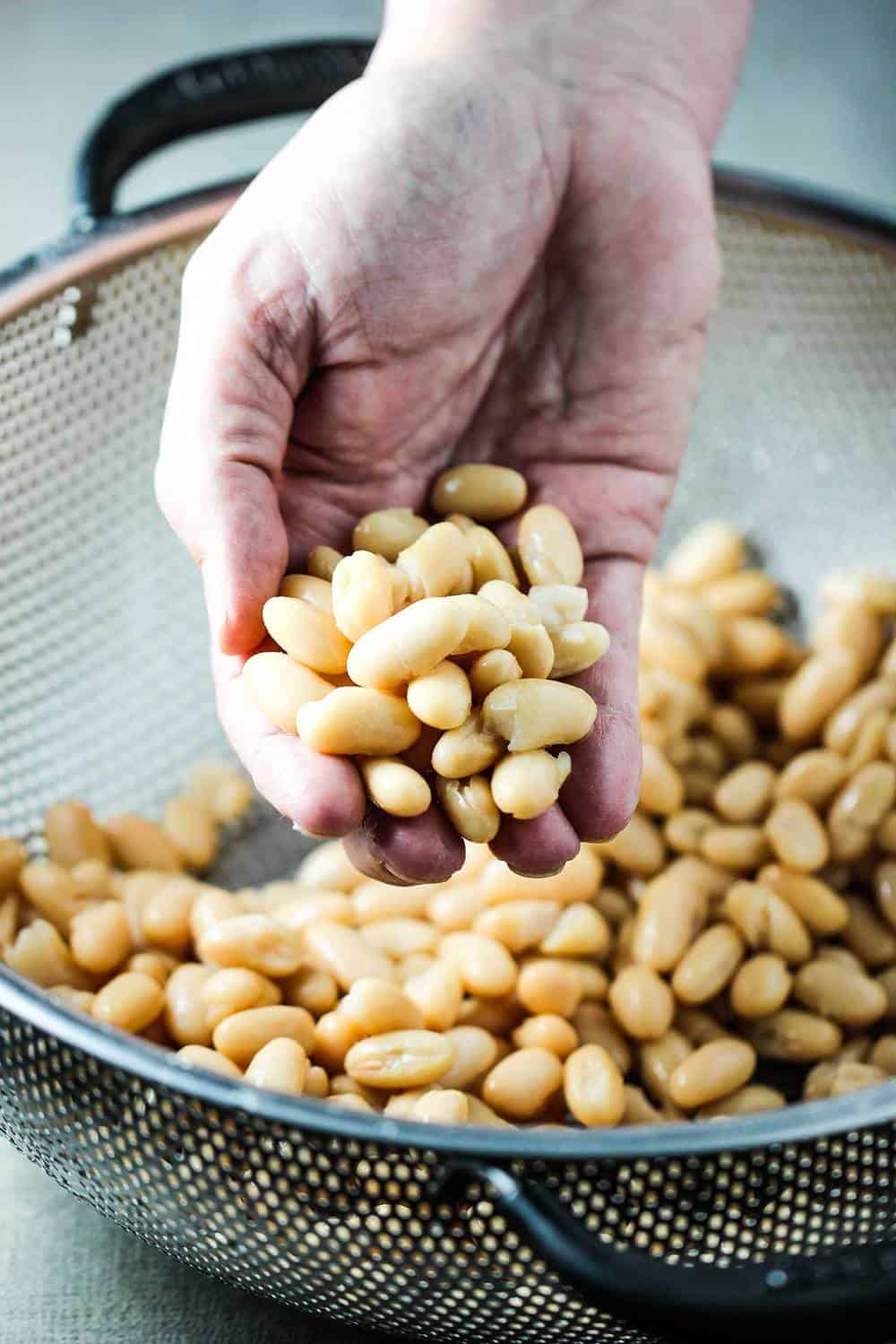 A hand holding white beans for white chili with roasted tomatillos