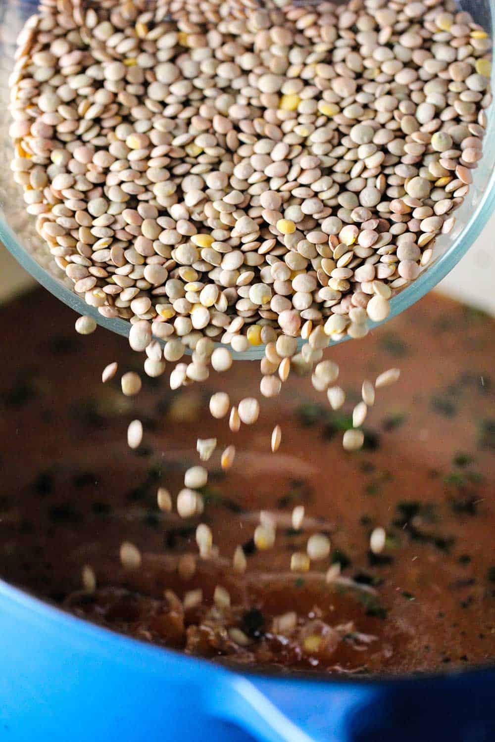 A bowl of green lentils being dropped into a blue Dutch oven filled with chicken stock. 