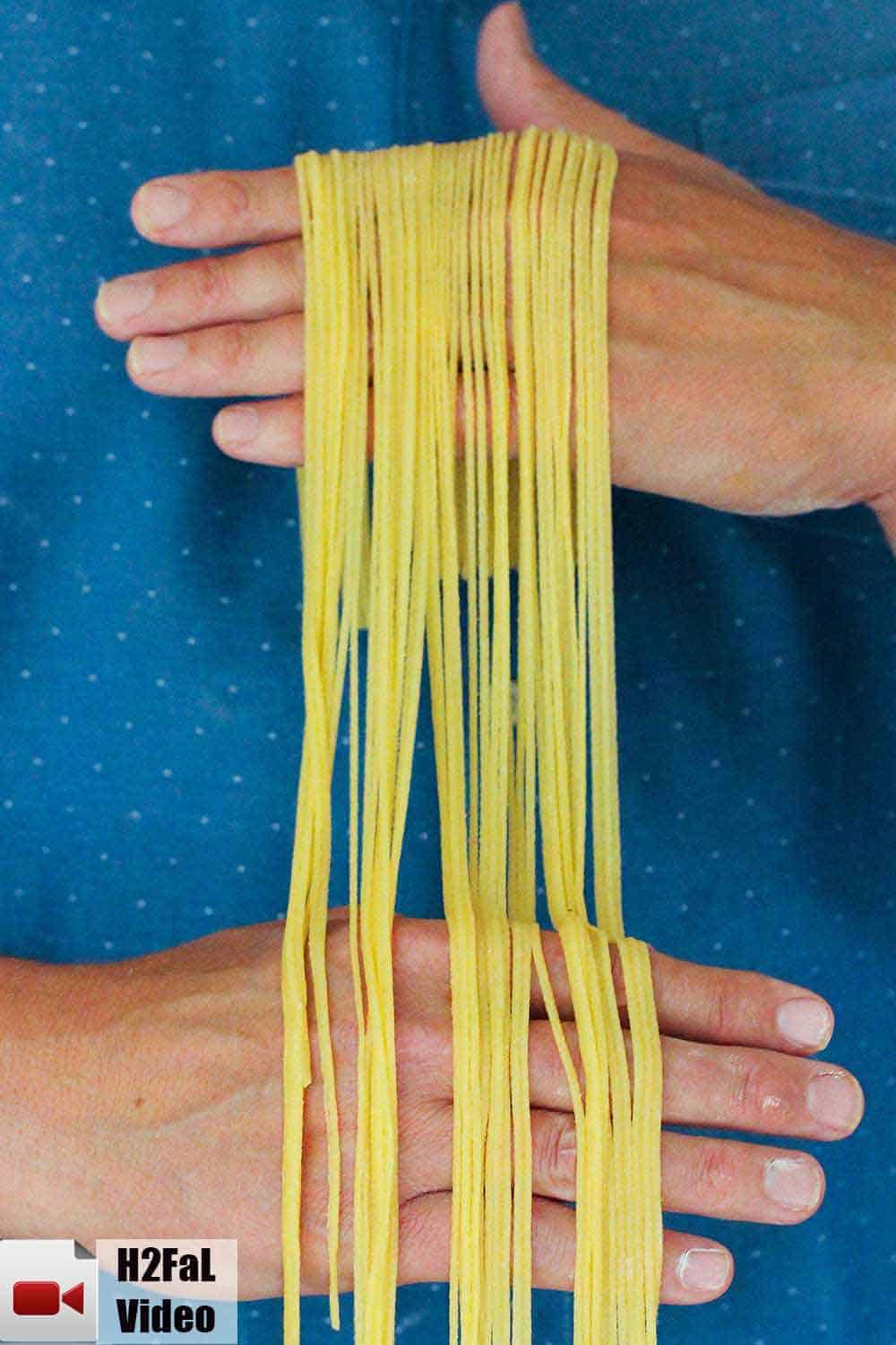 Two hands holding homemade pasta. 