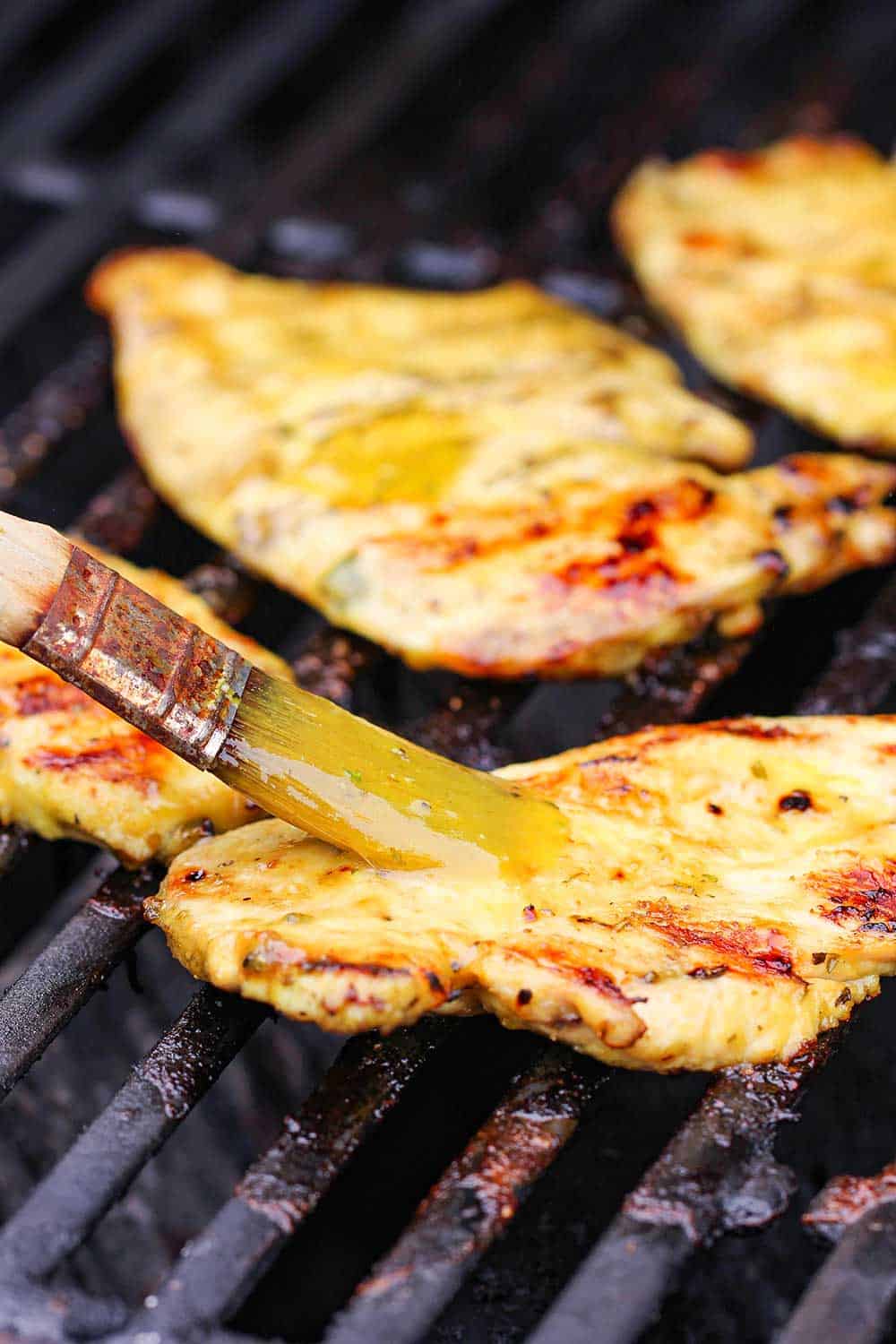 Honey mustard chicken cutlets being brushed with marinade while cooking on the grill. 