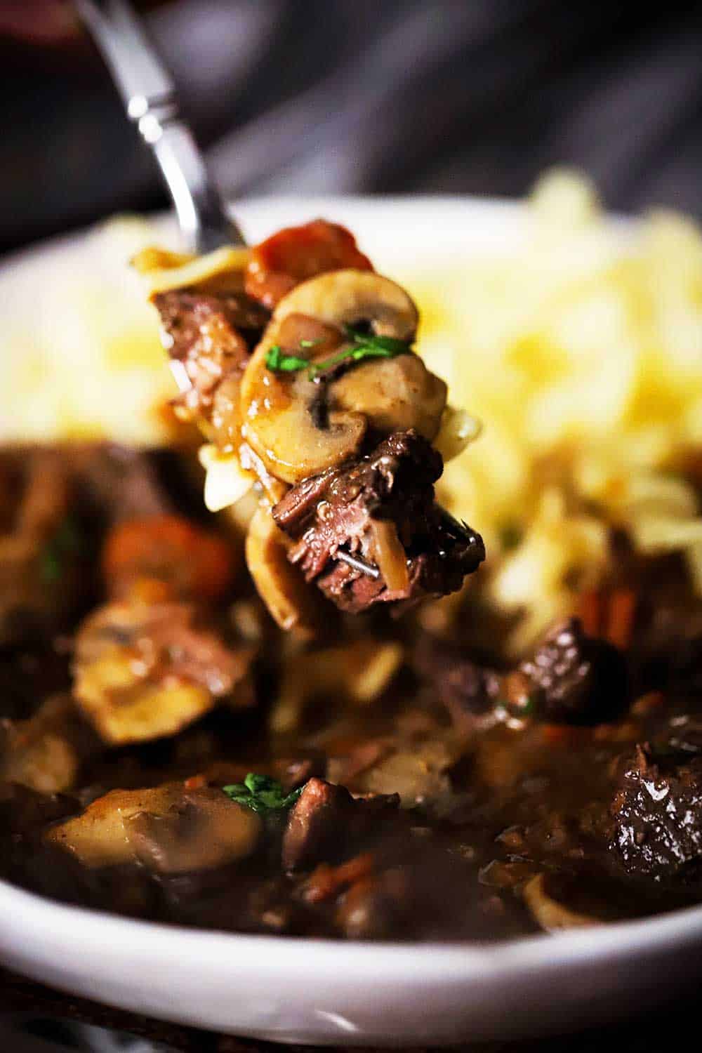 A fork being held up holding a piece of beef and noodles from a bowl of beef bourguignon. 