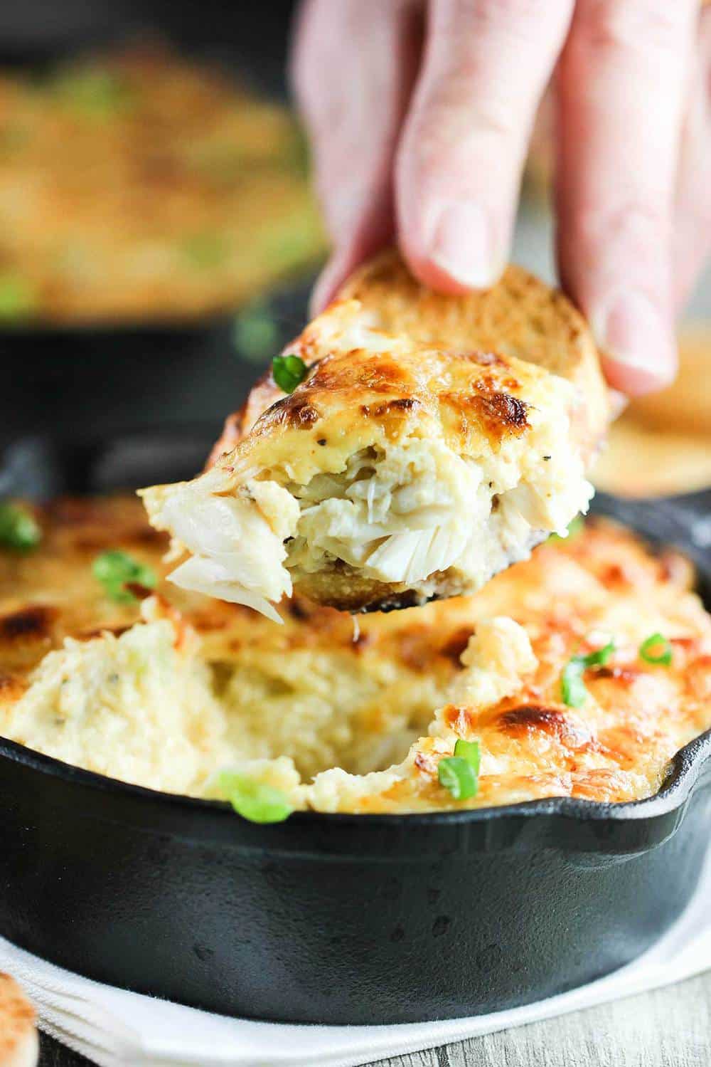 Jumbo Lump Crab Au Gratin | How To Feed A Loon