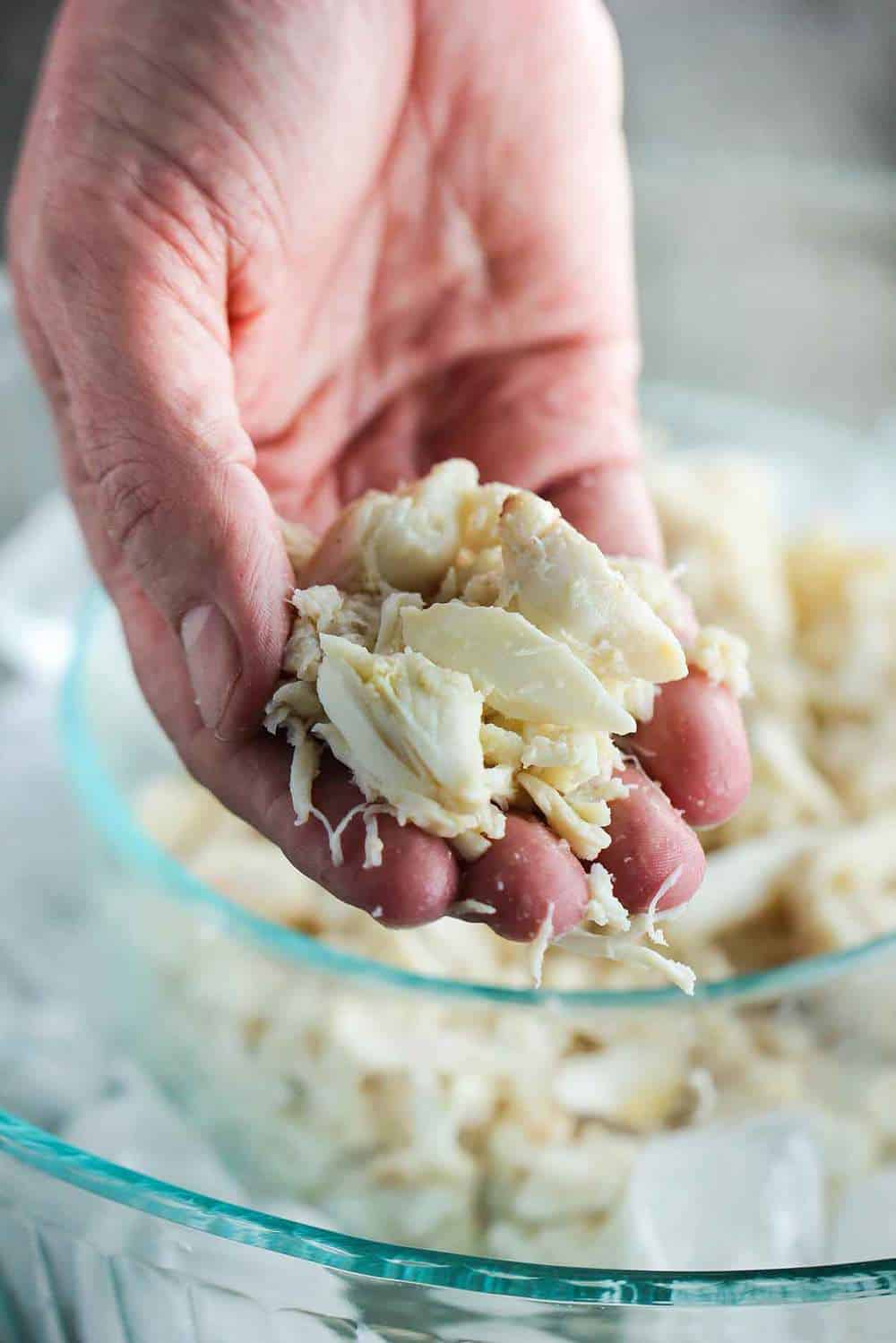 Jumbo Lump Crab Au Gratin | How To Feed A Loon