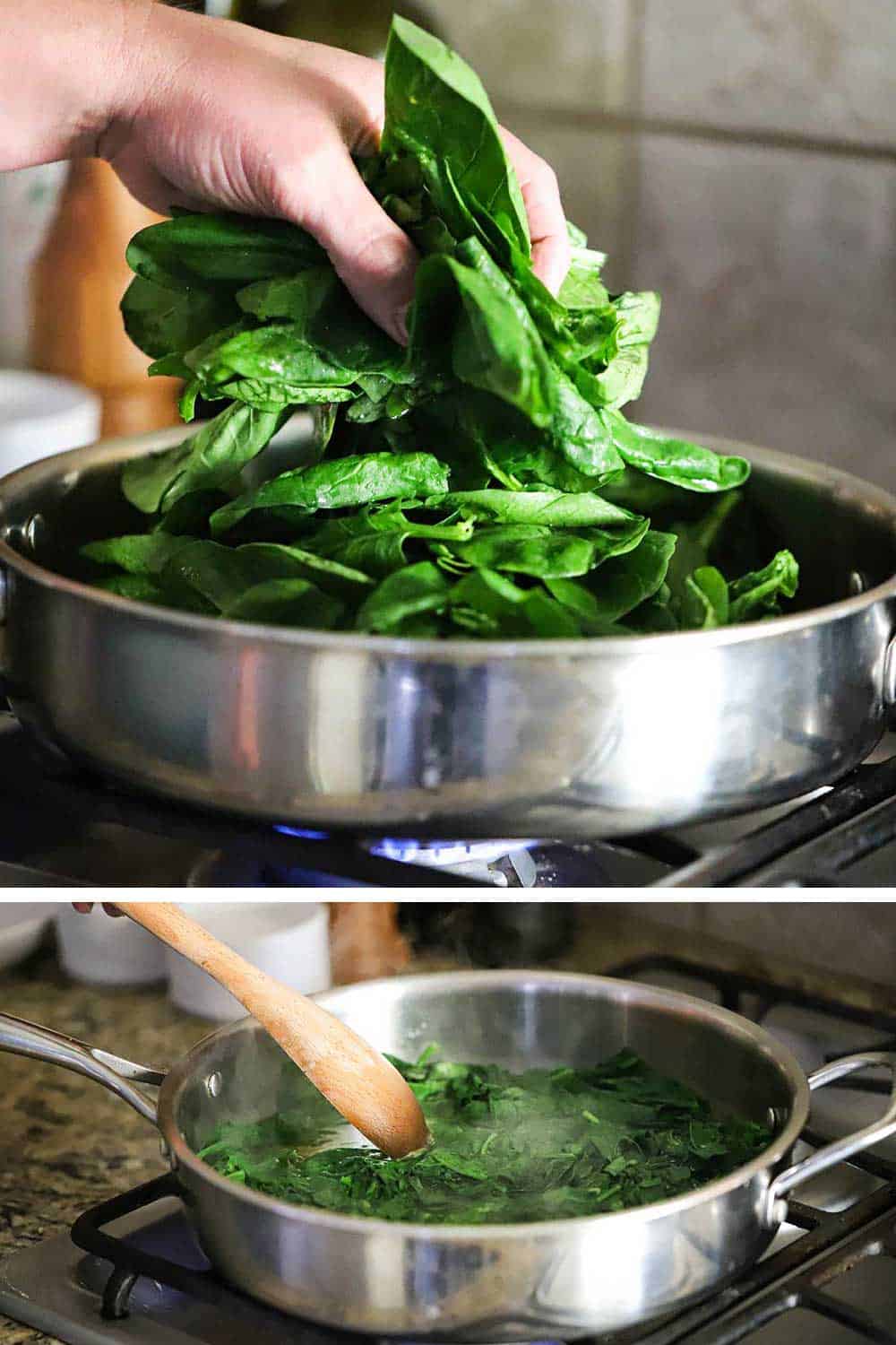 A hand dropping fresh spinach leaves into a skillet an then those leaves cooked down after being blanched. 