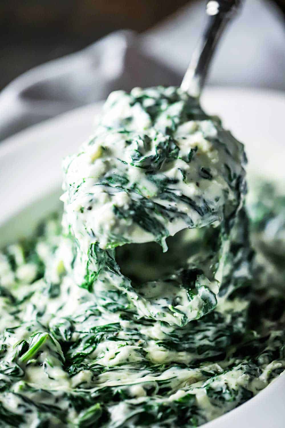 A silver serving spoon lifting up a helping of creamed spinach out of a serving bowl of the same dish. 