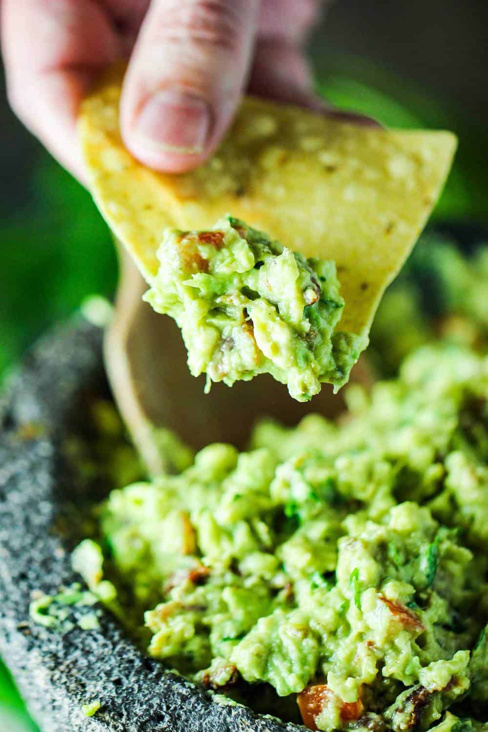 A hand holding a corn tortilla chip that has been dipped into fresh guacamole.