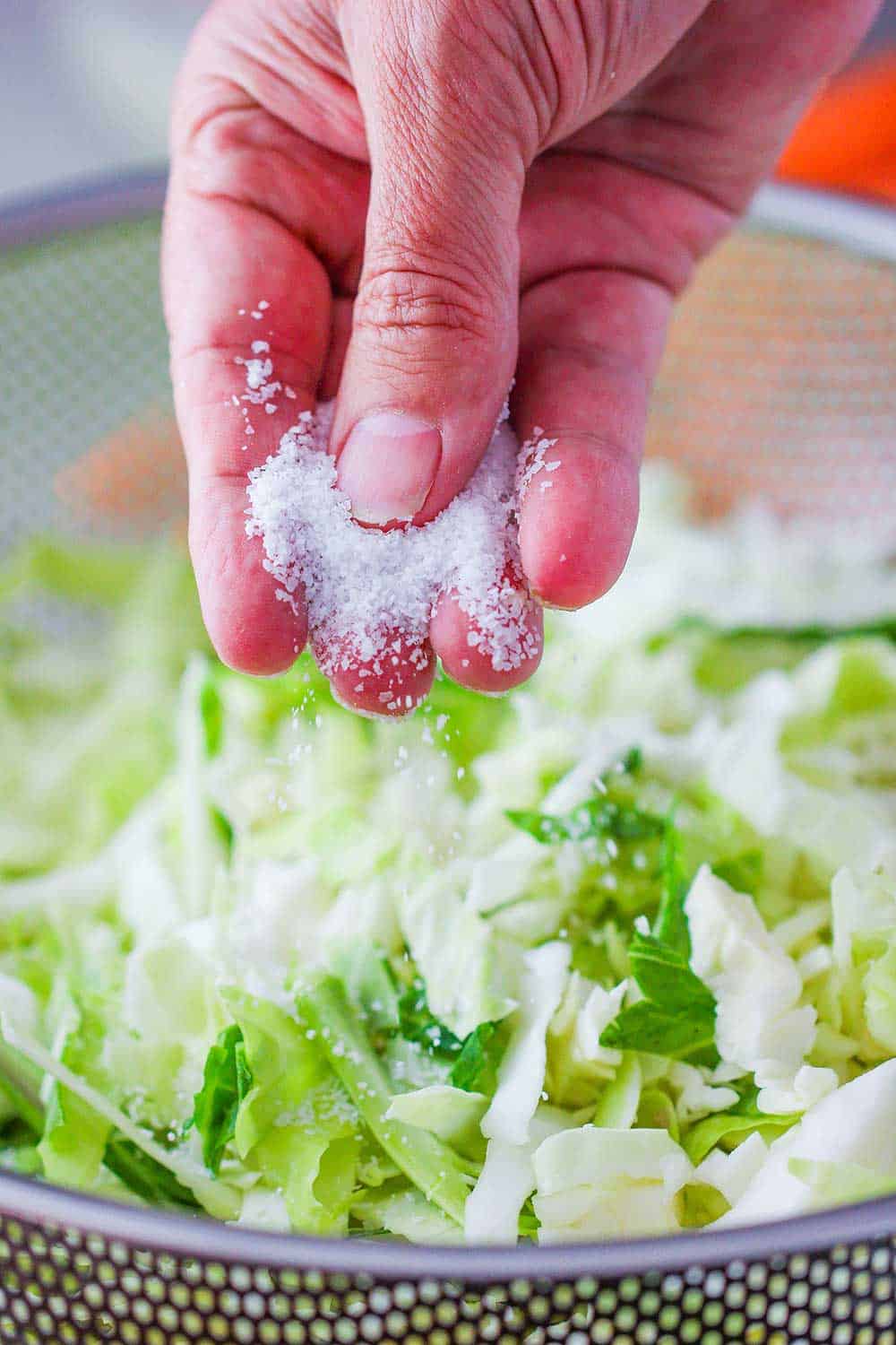 Liberally sprinkle the cut cabbage with salt to soften it in a colander. 