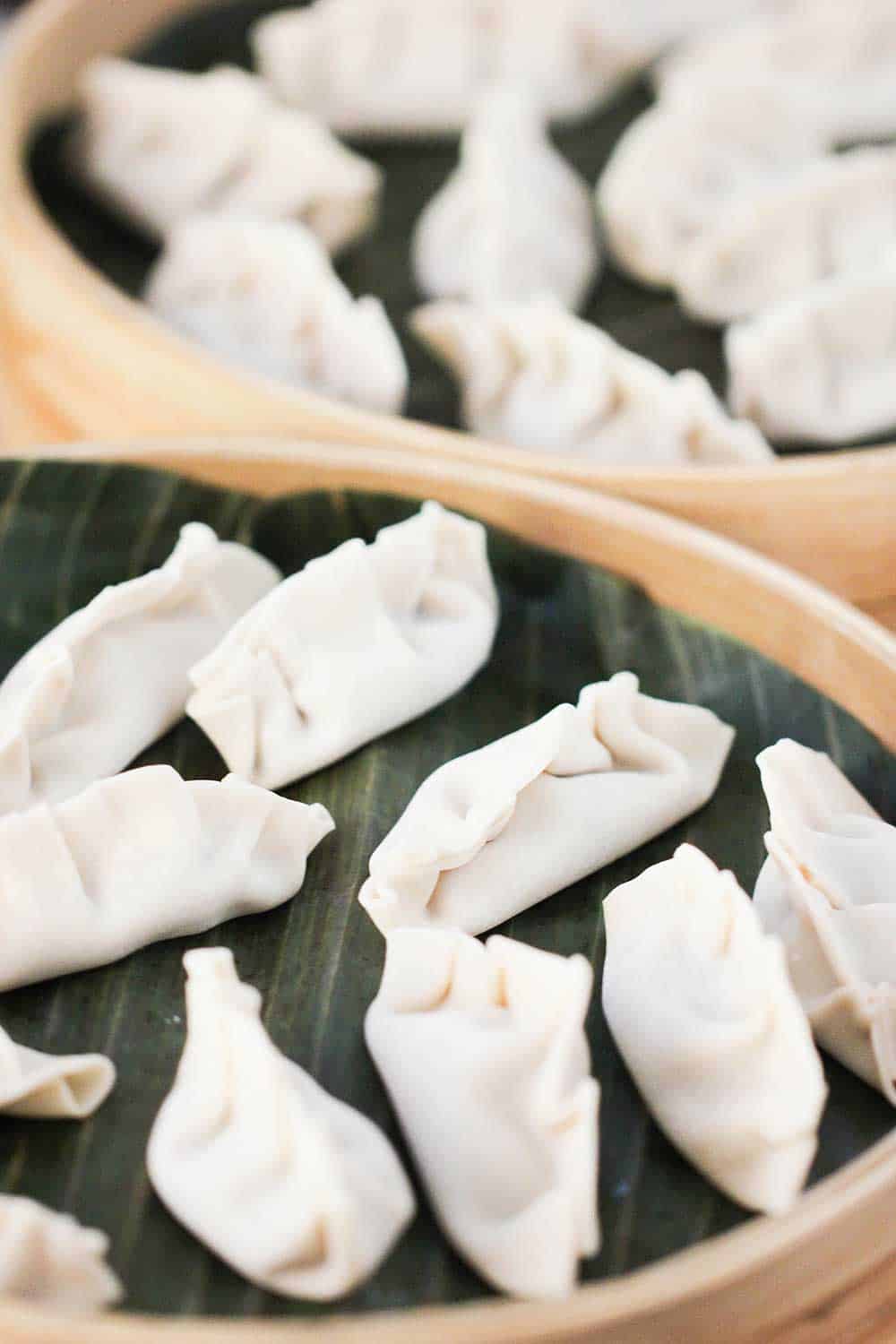 Pork dumplings in a double-stack bamboo steamer. 