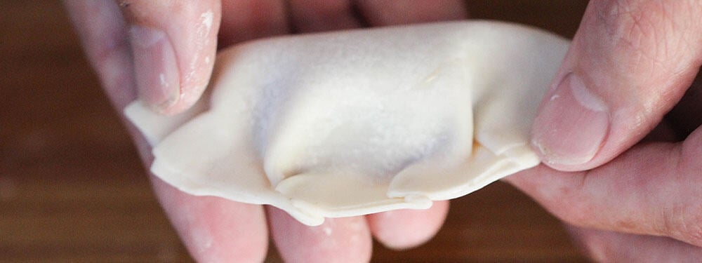 A hand holding a pork dumpling with pleats along the edges. 
