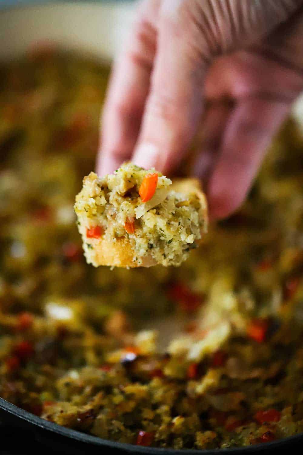 A hand holding up a toasted slice of bread topped with baked clam dip. 