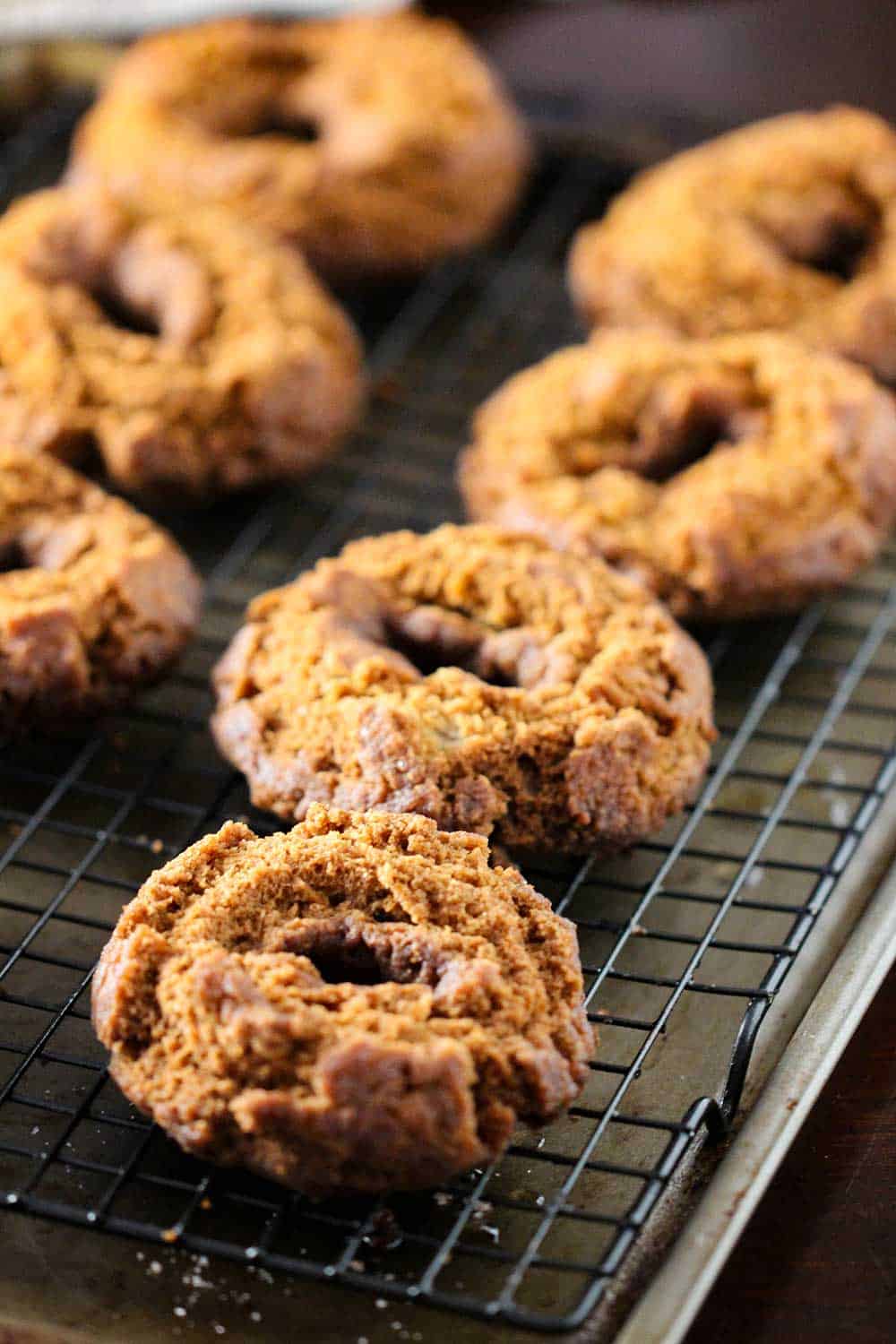 Apple cider doughnuts on a baking rack and baking sheet just after being fried. 