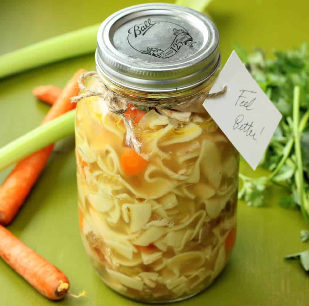 Homemade Chicken Noodle Soup How To Feed A Loon