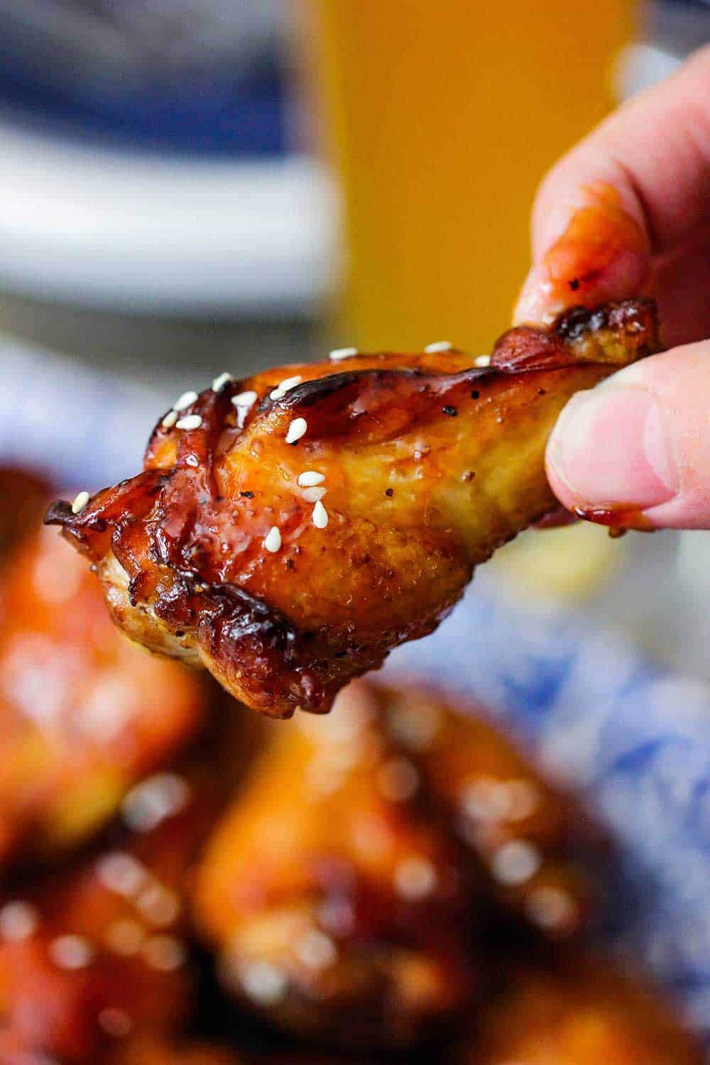 Teriyaki Chicken Wings How To Feed A Loon