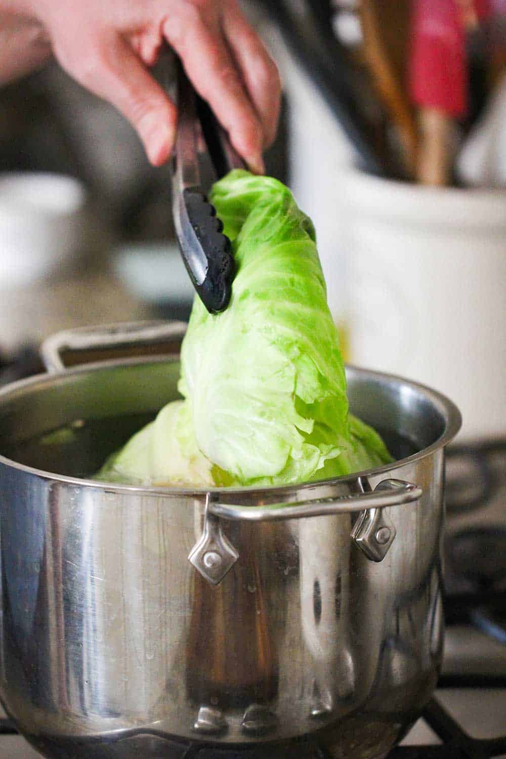 A hand using a pair of tongs to life a cabbage leaf out of a pot of boiling water. 