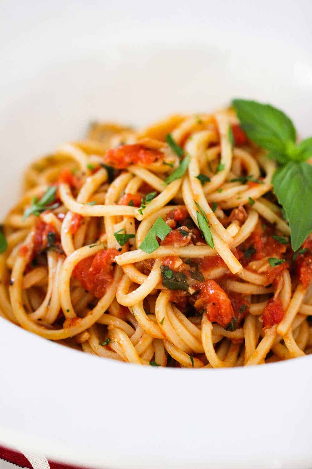 A close-up view of a large white bowl of pasta pomodoro with a sprig of basil on top. 