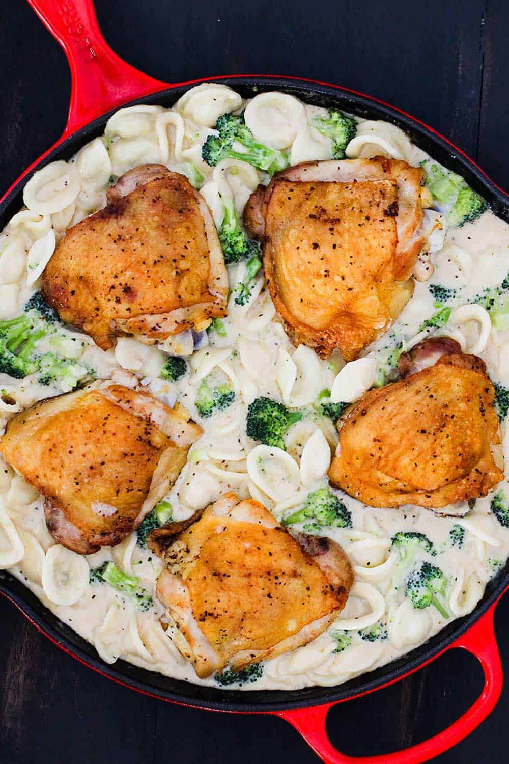 Chicken and Broccoli Alfredo | How To Feed A Loon