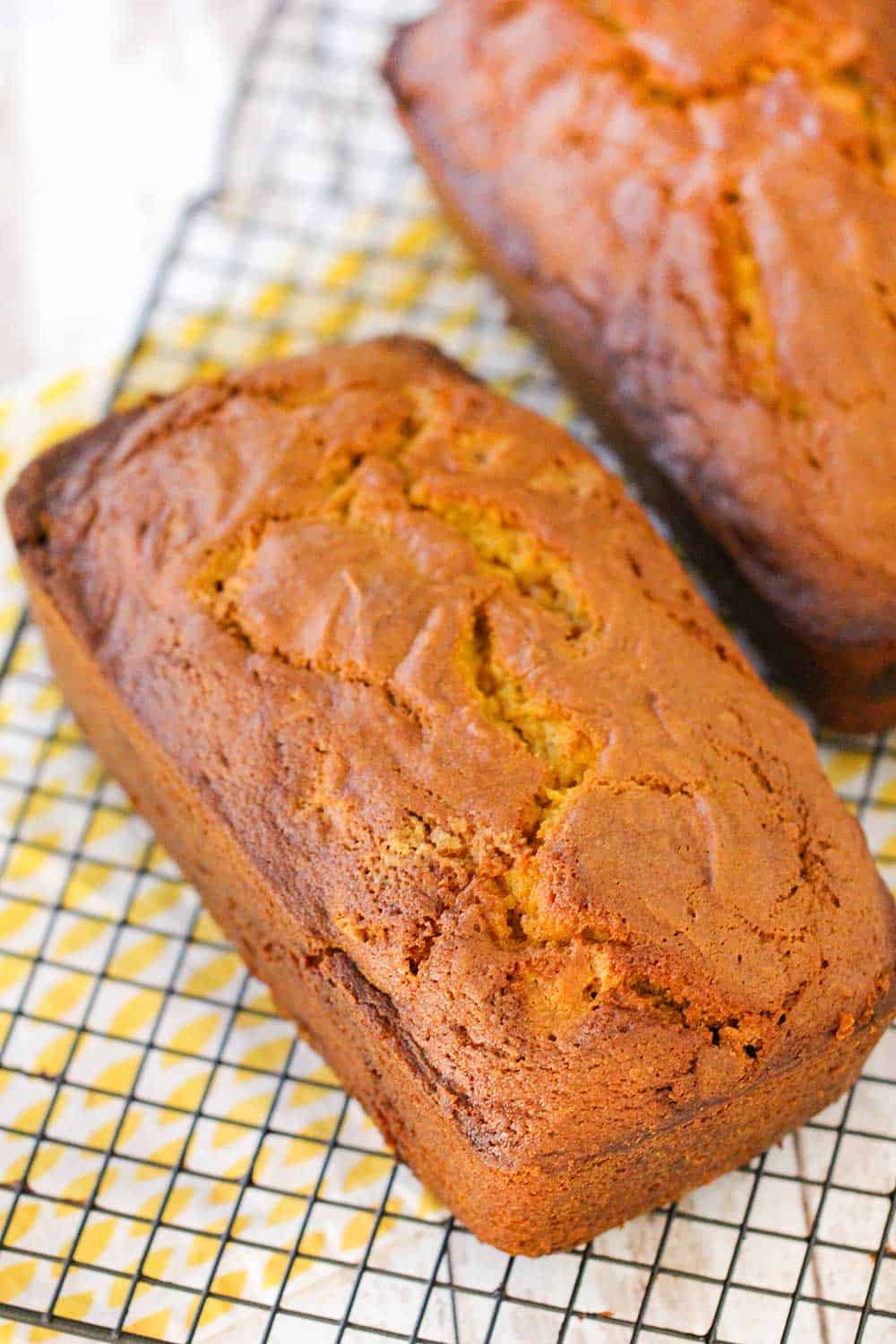 Two loaves of pumpkin butterscotch bread on a baking rack. 