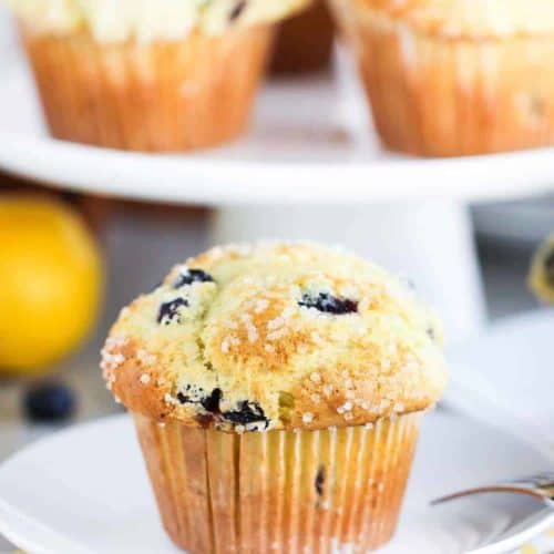 Lemon Olive Oil and Blueberry Jumbo Muffin on a white plate on top of a patterned napkin