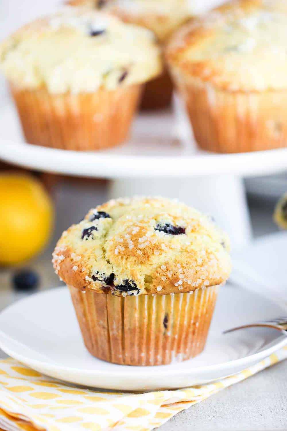 Lemon Olive Oil and Blueberry Jumbo Muffin recipe