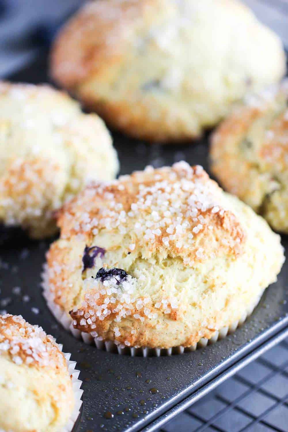 Lemon Olive Oil and Blueberry Jumbo Muffins recipe