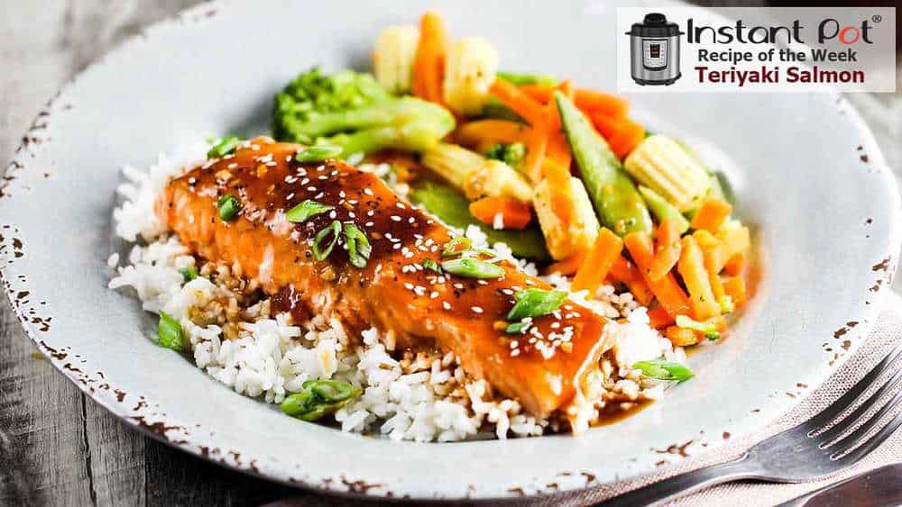 Omni Pro – Roasted Teriyaki Salmon – Instant Pot Recipes