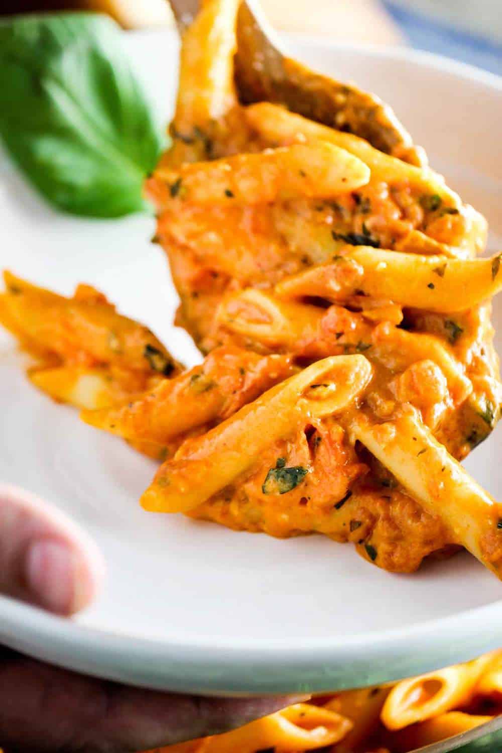 Penne alla Vodka Recipe (With Video) | How to Feed a Loon