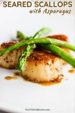 A white dinner plate filled with seared scallops topped with sautéed asparagus topped with a brown sauce.
