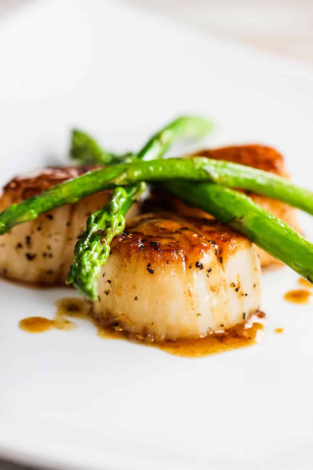 A white dinner plate filled with seared scallops topped with sautéed asparagus topped with a brown sauce.