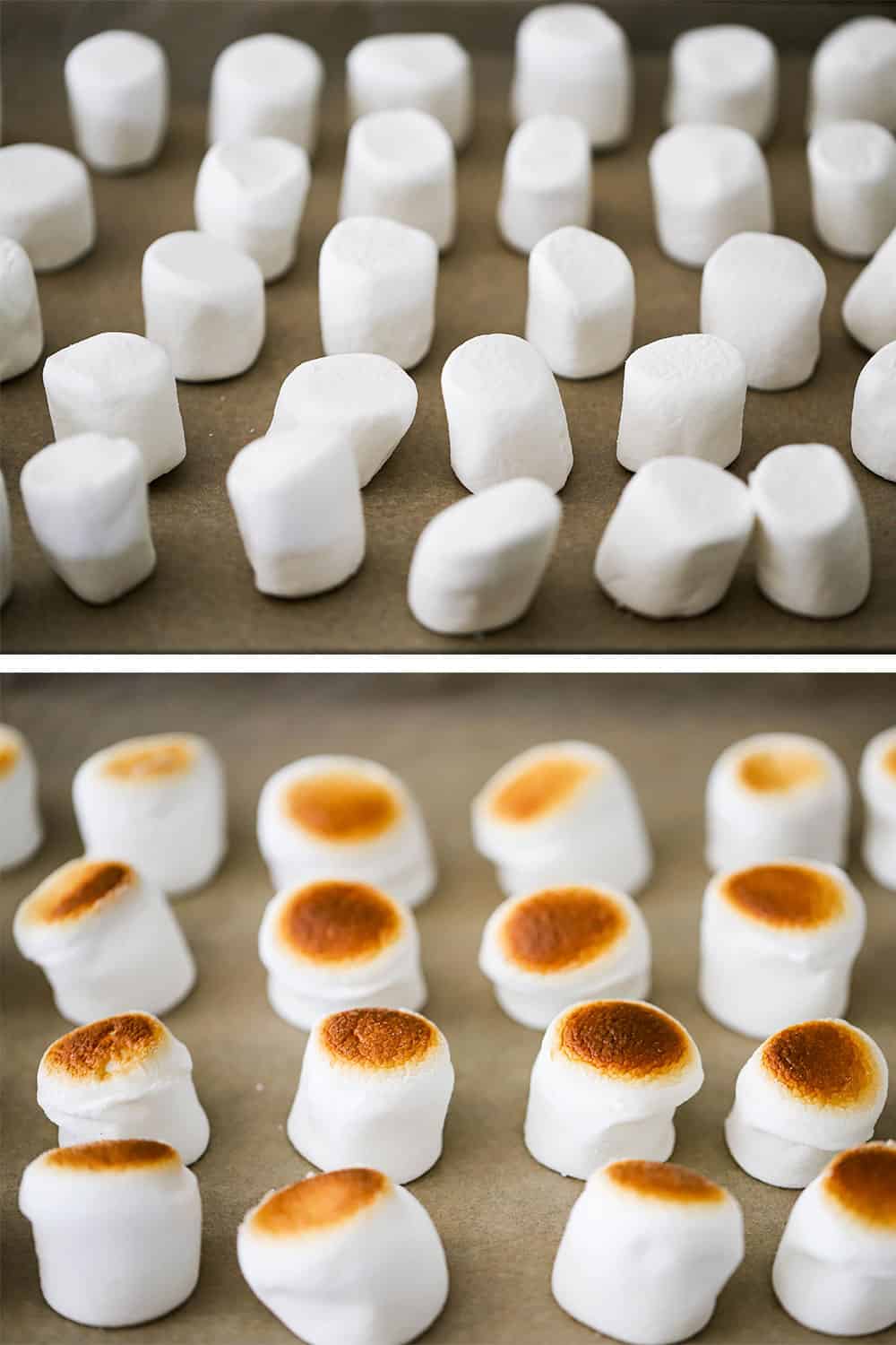 A baking pan filled with jumbo marshmallows, and then them after they have been toasted in the oven. 