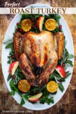 A roasted turkey sitting on a bed of greens and surround by fruit on a large white oval platter.