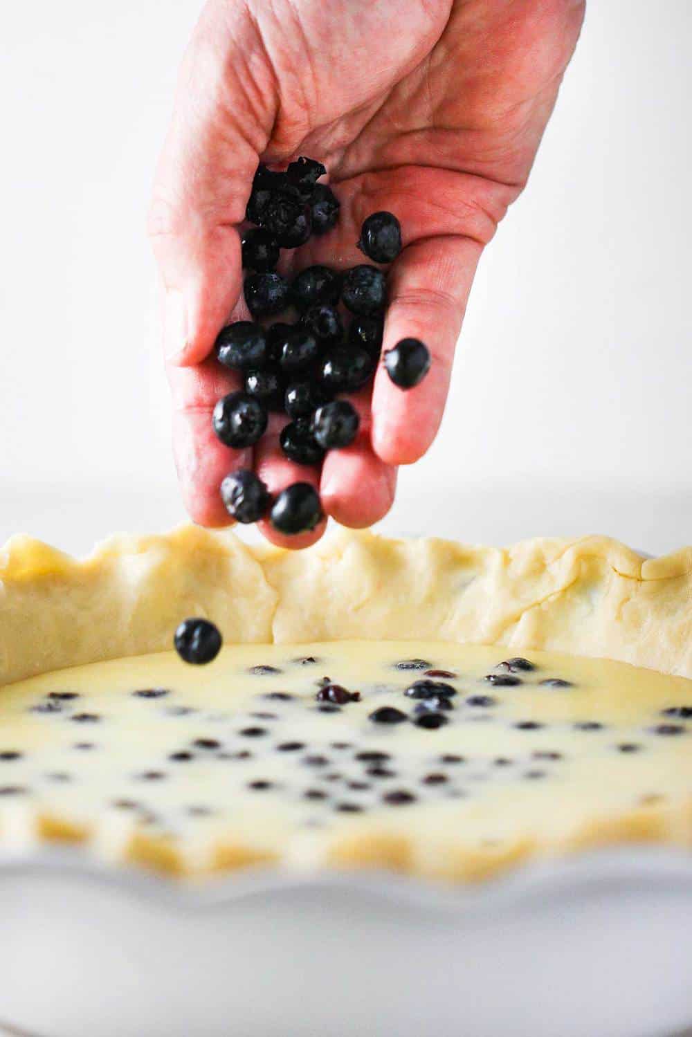 A hand dropping blueberries into a custard pie.