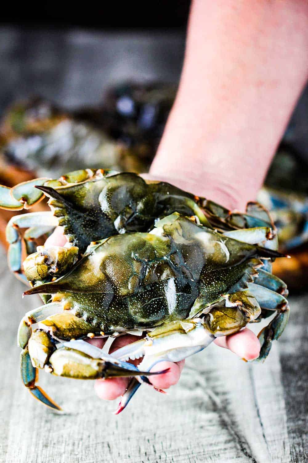 A hand holding two cleaned soft-shell crabs.