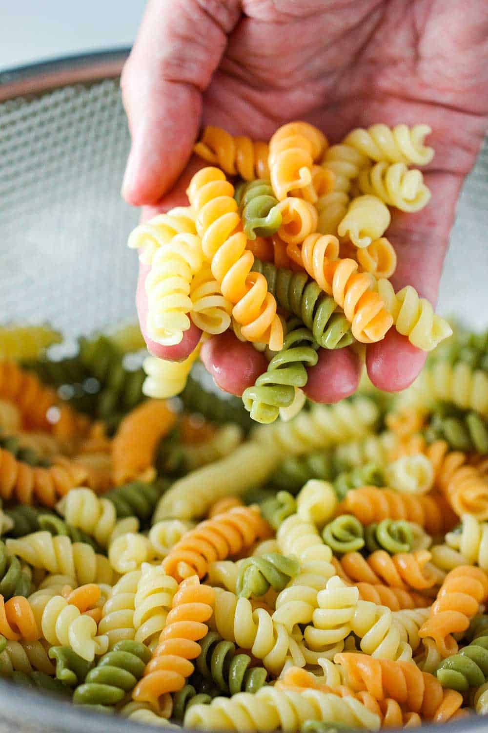 A hand holding tricolor cooked rotini pasta.