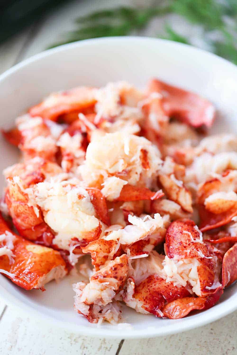 A white serving bowl filled with fresh lobster, roughly chopped.