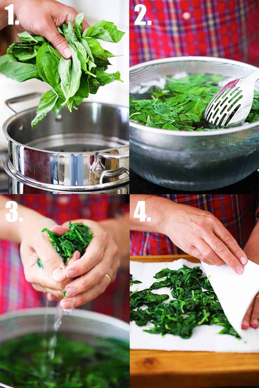 4 shots: 1st hand dropping basil into a pot of boiling water, 2nd basil in a ice bath, 3rd two hands squeezing our excess water from blanched basil, 4th, two hands drying the blanched basil in paper towels.