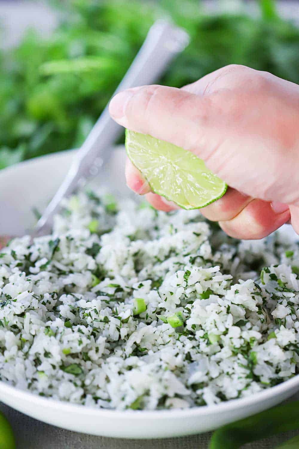 A hand squeezing a lime wedge over a white bowl filled with cilantro lime rice with a spoon in it, sitting next to fresh cilantro. 