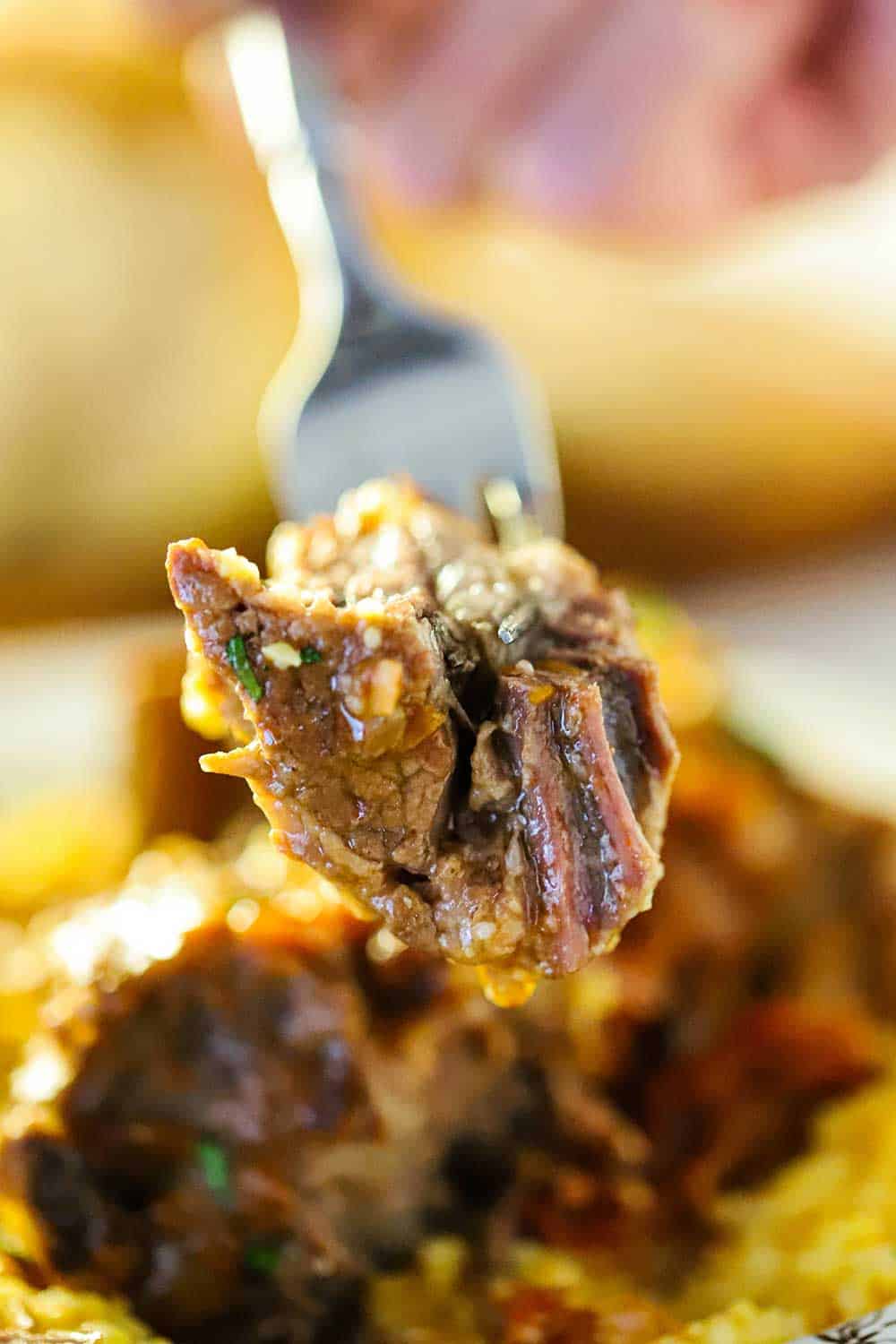 A fork holding up a piece of Italian short ribs over a bowl of the same. 