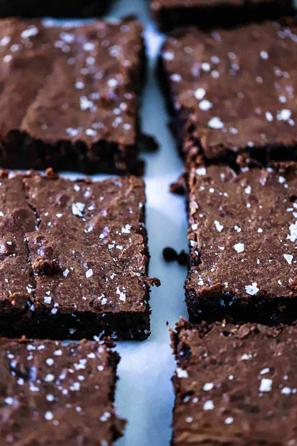 Squares of fudge brownies sitting on parchment paper topped with coarse sea salt. 