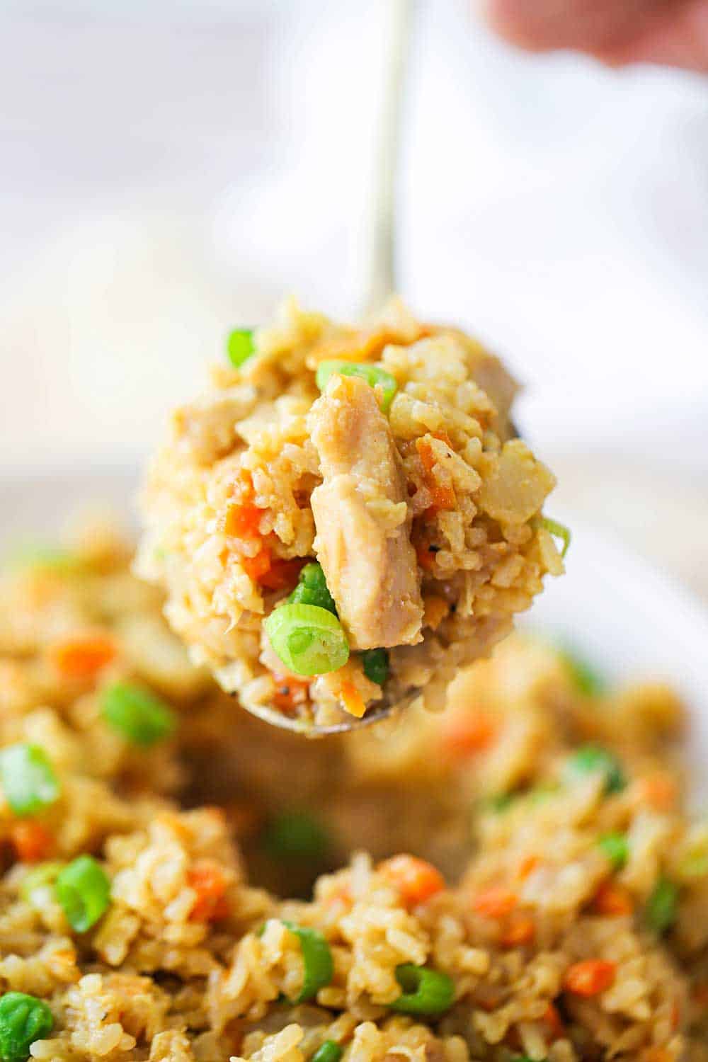 A large spoon holding a helping of chicken fried rice over a bowl of the dish. 