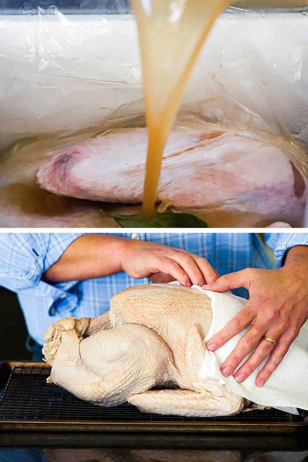 Brine pouring onto a fresh turkey in a brine bag in a cooler and then a person patting the turkey dry with paper towels.