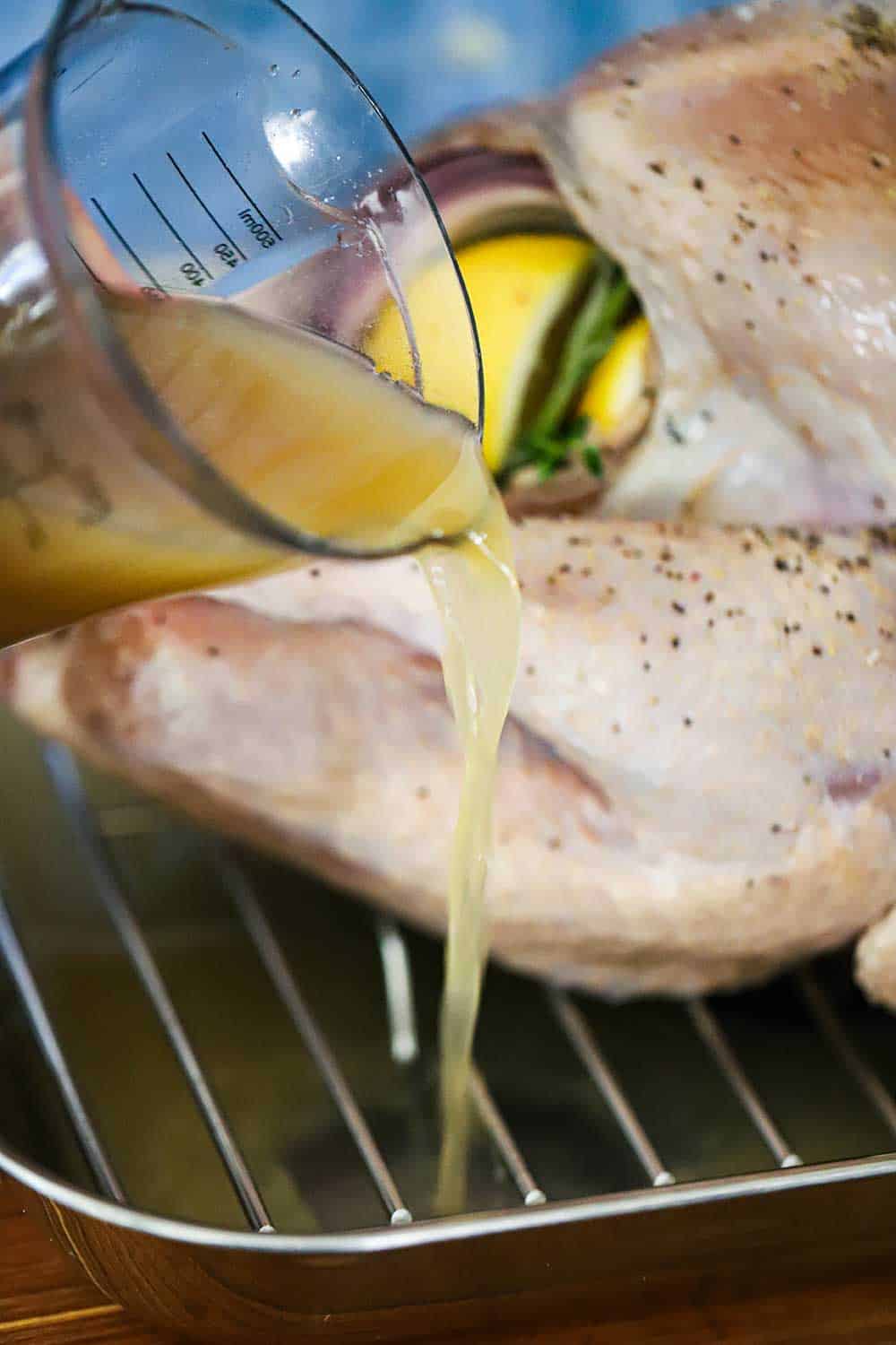 Chicken stock being poured into a roasting pan that has a fresh turkey in it.