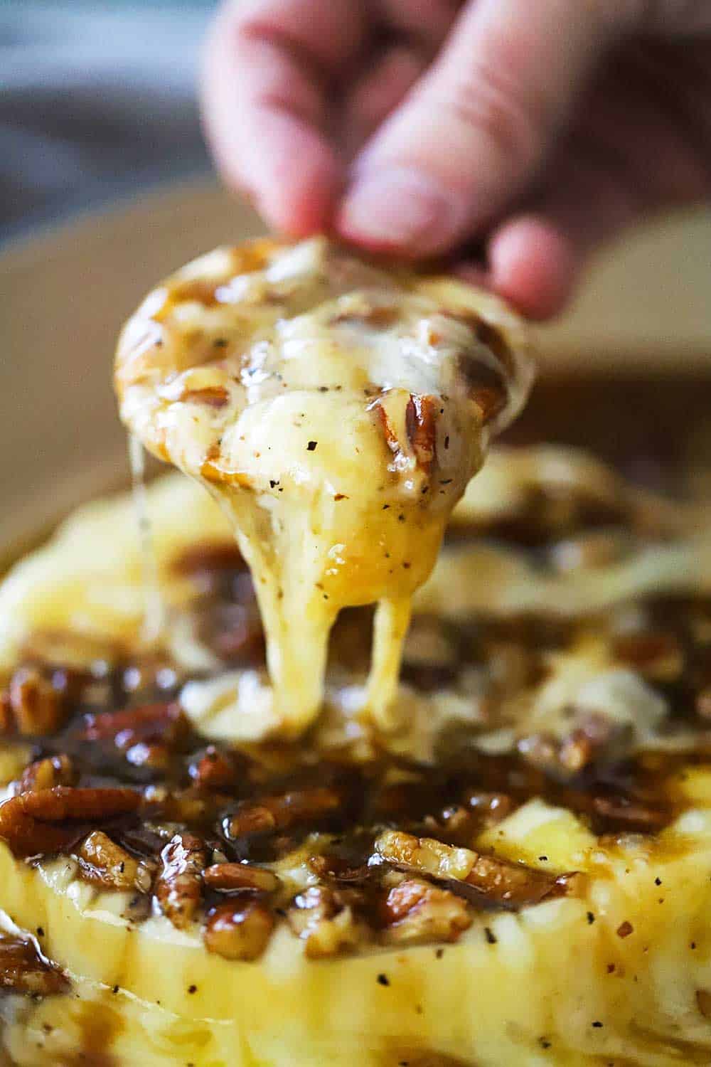 A hand lifting up a cracker topped with baked brie and praline sauce out of an oval baking dish. 