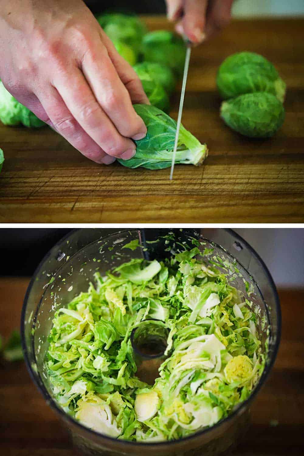 A person using a knife to cut the end off of a Brussels sprout and then a the bowl of a food processor filled with shaved sprouts. 