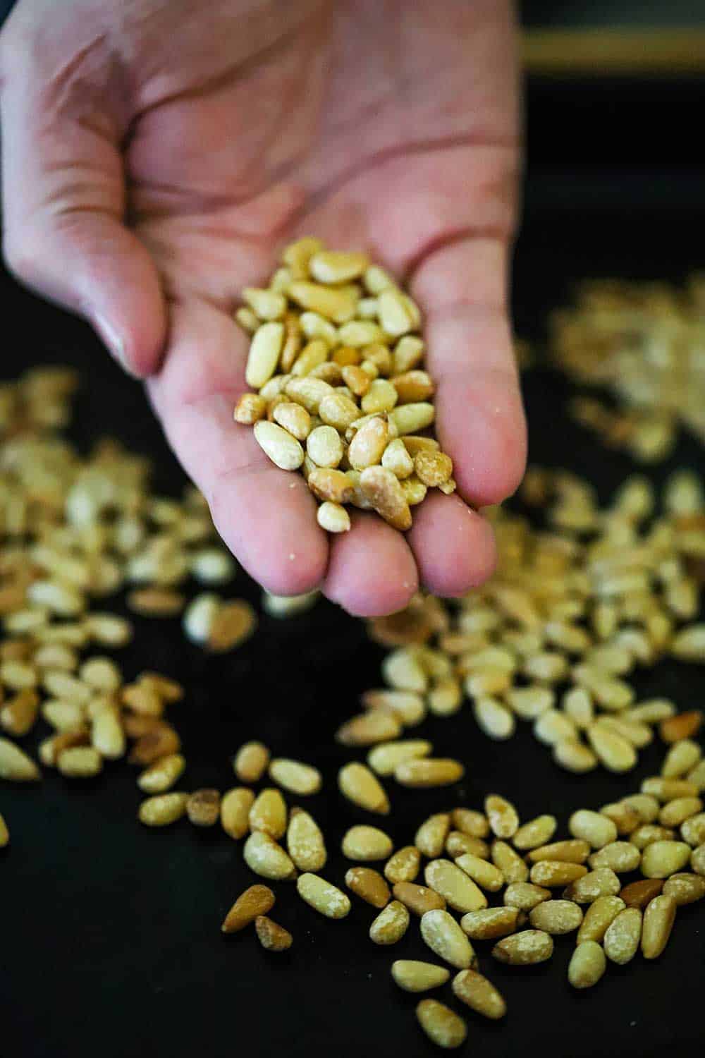 A hand holding lightly toasted pine nuts in the palm over a pan of the same. 