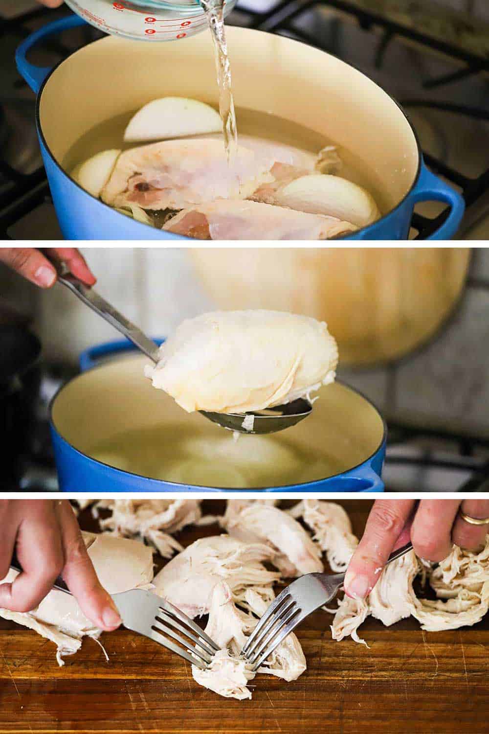 An oval blue Dutch oven filled with 2 skin-on chicken breasts being filled with water, and then the cooked breasts being removed, and then the meat shredded with two forks. 