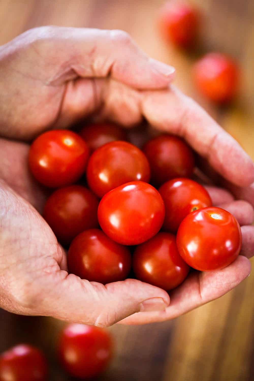 Two hands holding a bunch of ripe cherry tomatoes. 