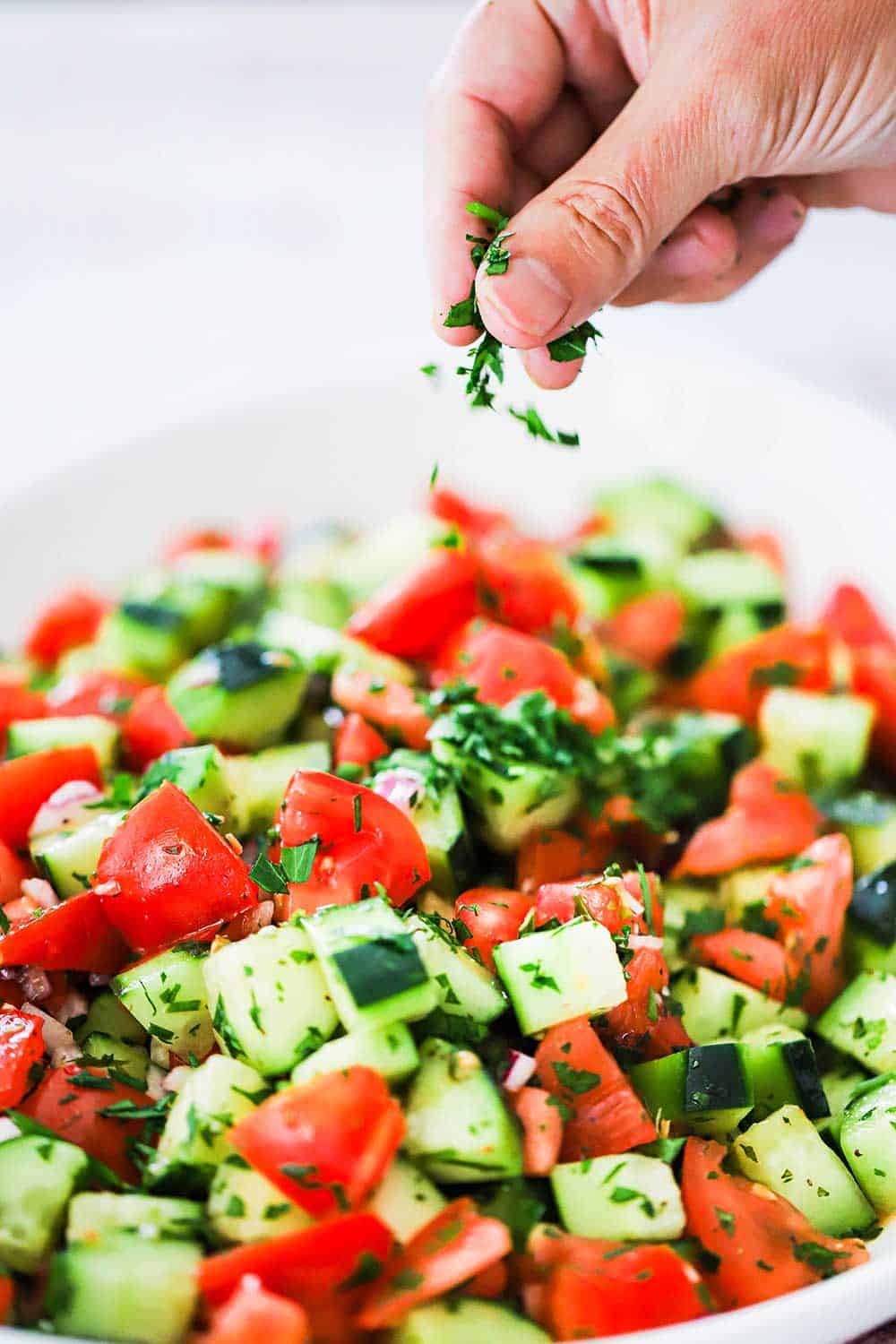 A hand sprinkling chopped parsley over the top of a cucumber tomato salad in a large white oval serving dish. 