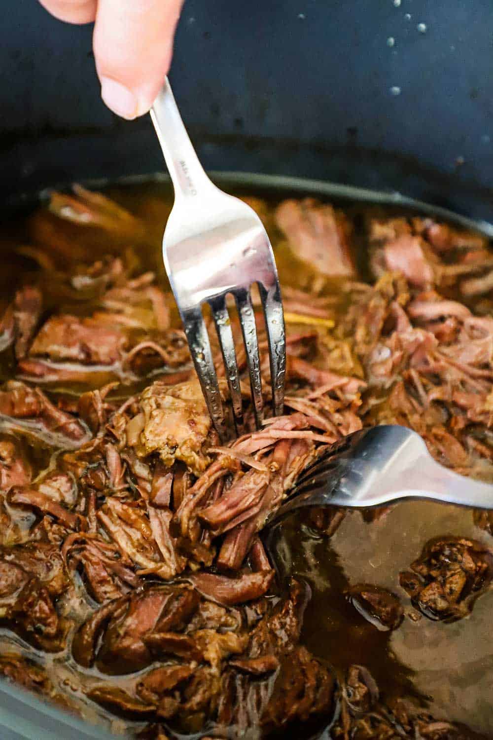 A person using two forks to shred a pot roast that has cooked and is extremely tender.