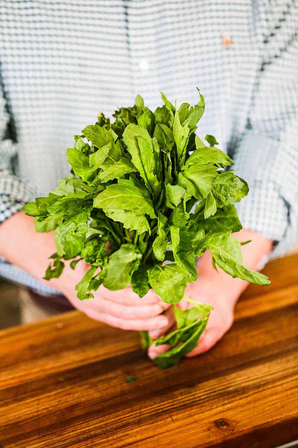 A person holding a bunch of fresh epazote over a wooden cutting board.