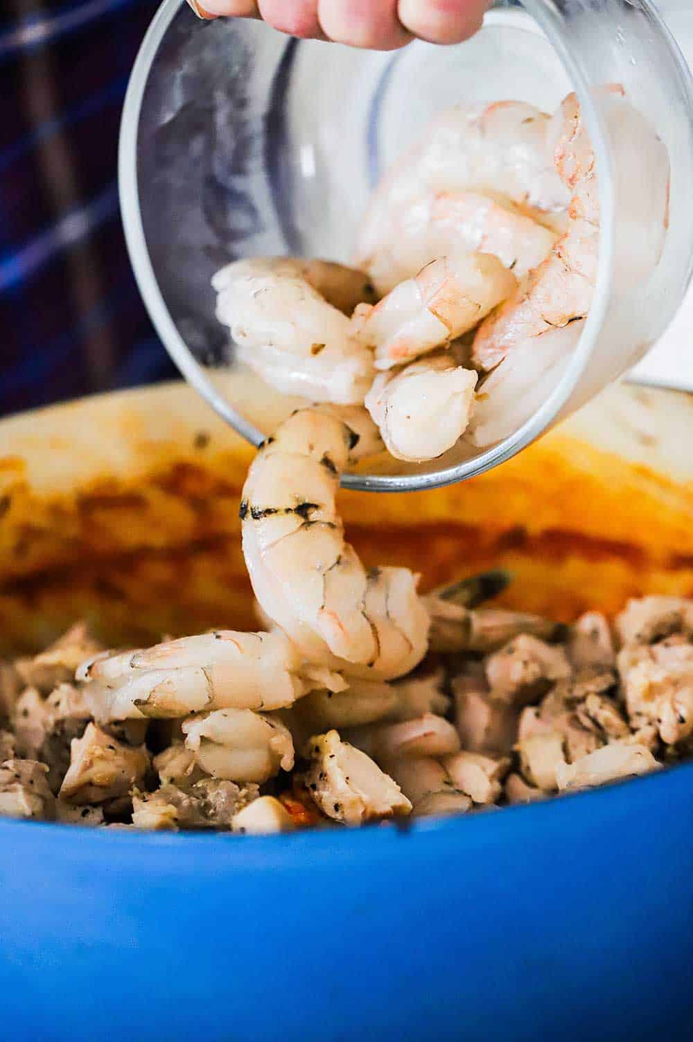 A person pouring uncooked shrimp in a blue Dutch oven that is filled with cooked rice, tomatoes, and seasonings.